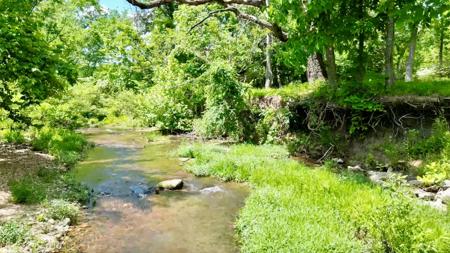 Metal Building on 10 ac on creek for sale Ash Flat, AR - image 29