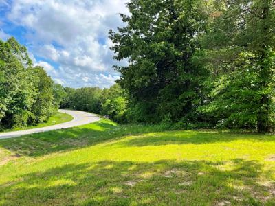 Metal Building on 10 ac on creek for sale Ash Flat, AR - image 24