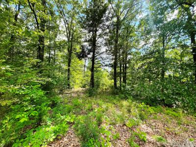 Metal Building on 10 ac on creek for sale Ash Flat, AR - image 21