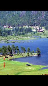 Country Home in Vallecito Lake, Colorado - image 24