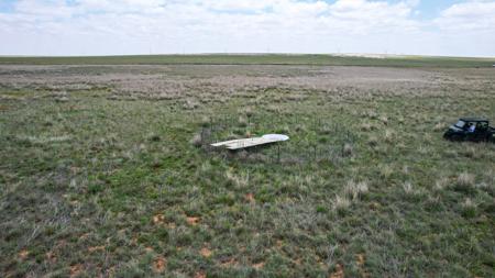 Texas Mule Deer and Cattle grazing LAND in Cochran County - image 6