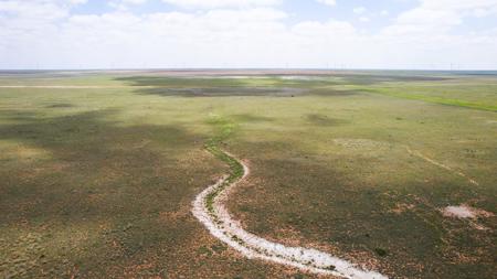 Texas Mule Deer and Cattle grazing LAND in Cochran County - image 22