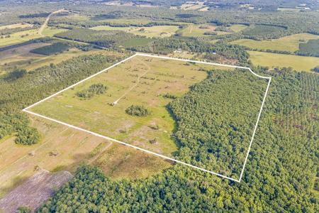 50 Acres Vacant Land For Sale For Only $425,000.00 - image 2