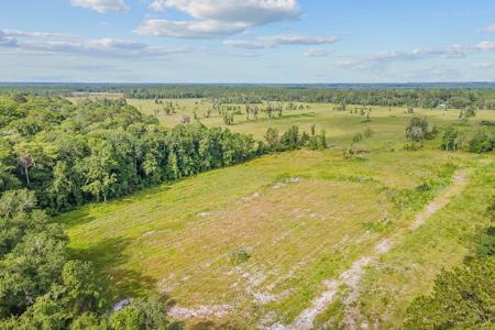 50 Acres Vacant Land For Sale For Only $425,000.00 - image 6