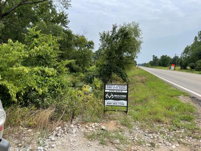 Pine Plantation / Duck Hunting Land for sale - image 14