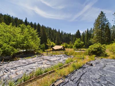 Harpster Idaho Mountain Retreat with Year Round Creek - image 29