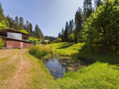 Harpster Idaho Mountain Retreat with Year Round Creek - image 5