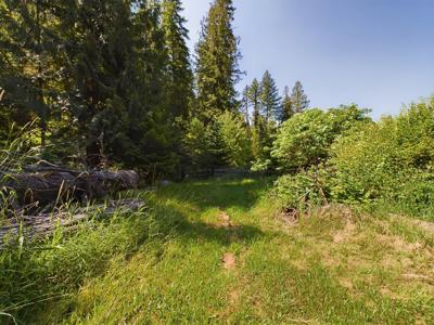 Harpster Idaho Mountain Retreat with Year Round Creek - image 14