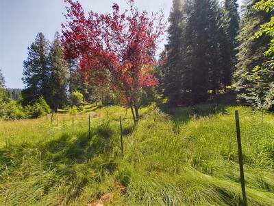 Harpster Idaho Mountain Retreat with Year Round Creek - image 22