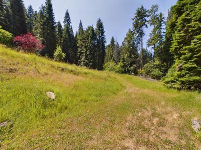 Harpster Idaho Mountain Retreat with Year Round Creek - image 21