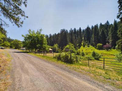 Harpster Idaho Mountain Retreat with Year Round Creek - image 19