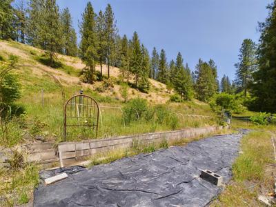 Harpster Idaho Mountain Retreat with Year Round Creek - image 28