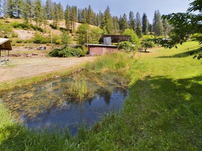 Harpster Idaho Mountain Retreat with Year Round Creek - image 7