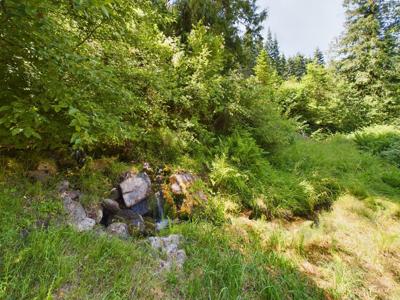 Harpster Idaho Mountain Retreat with Year Round Creek - image 24