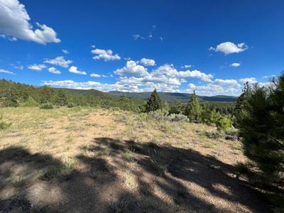 Northern New Mexico Mountain Property in Ticonderoga - image 7