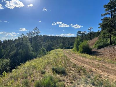 Northern New Mexico Mountain Property in Ticonderoga - image 12