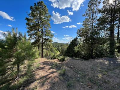 Northern New Mexico Mountain Property in Ticonderoga - image 11