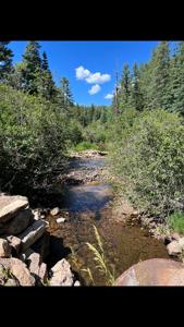 Northern New Mexico Mountain Property in Ticonderoga - image 15