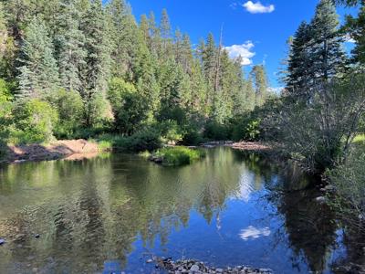 Northern New Mexico Mountain Property in Ticonderoga - image 19