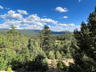 Northern New Mexico Mountain Property in Ticonderoga - image 1