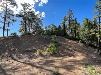 Northern New Mexico Mountain Property in Ticonderoga - image 9