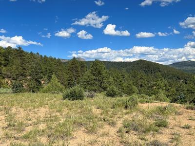 Northern New Mexico Mountain Property in Ticonderoga - image 8