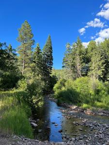 Northern New Mexico Mountain Property in Ticonderoga - image 16