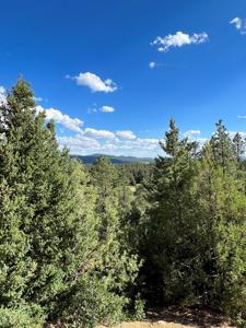 Northern New Mexico Mountain Property in Ticonderoga - image 2