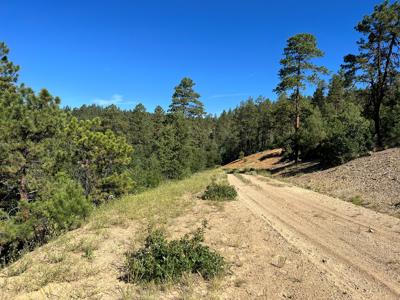 Northern New Mexico Mountain Property in Ticonderoga - image 13