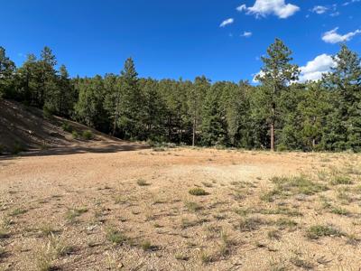 Northern New Mexico Mountain Property in Ticonderoga - image 10