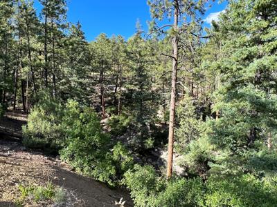 Northern New Mexico Mountain Property in Ticonderoga - image 18