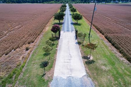 1.8 Acre Waterfront Lot on Bayou Cocodrie-Concordia Parish - image 4