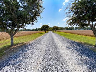 1.8 Acre Waterfront Lot on Bayou Cocodrie-Concordia Parish - image 10