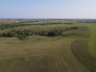 240 acre CRP Farm For Sale Clarke County Iowa - image 12