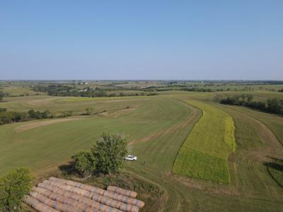 240 acre CRP Farm For Sale Clarke County Iowa - image 8