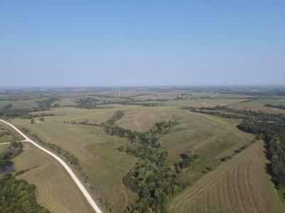 240 acre CRP Farm For Sale Clarke County Iowa - image 1