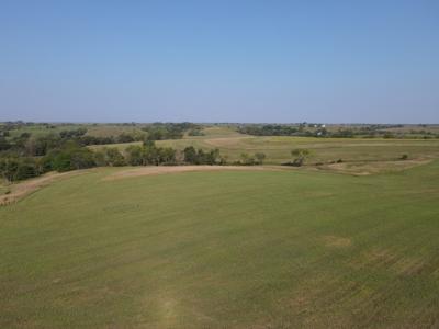 240 acre CRP Farm For Sale Clarke County Iowa - image 3