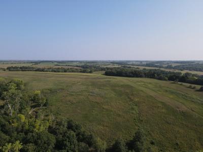 240 acre CRP Farm For Sale Clarke County Iowa - image 39