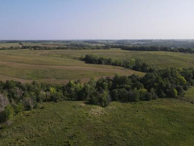 240 acre CRP Farm For Sale Clarke County Iowa - image 42