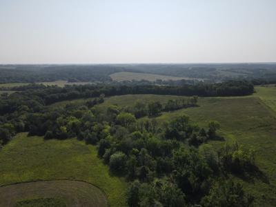 240 acre CRP Farm For Sale Clarke County Iowa - image 23