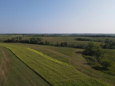 240 acre CRP Farm For Sale Clarke County Iowa - image 5