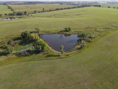 240 acre CRP Farm For Sale Clarke County Iowa - image 17