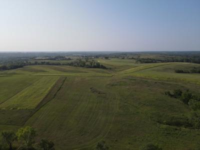 240 acre CRP Farm For Sale Clarke County Iowa - image 18