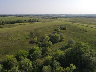 240 acre CRP Farm For Sale Clarke County Iowa - image 13