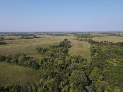 240 acre CRP Farm For Sale Clarke County Iowa - image 29