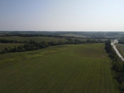 240 acre CRP Farm For Sale Clarke County Iowa - image 7