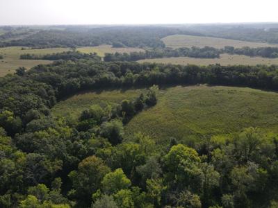 240 acre CRP Farm For Sale Clarke County Iowa - image 25