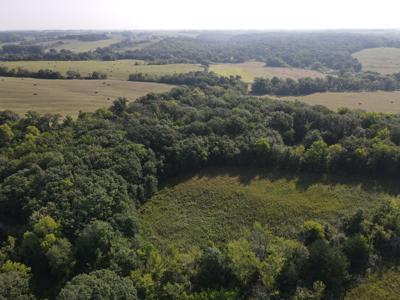 240 acre CRP Farm For Sale Clarke County Iowa - image 27