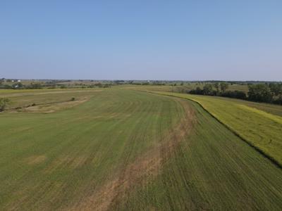 240 acre CRP Farm For Sale Clarke County Iowa - image 2