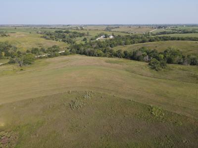 240 acre CRP Farm For Sale Clarke County Iowa - image 11